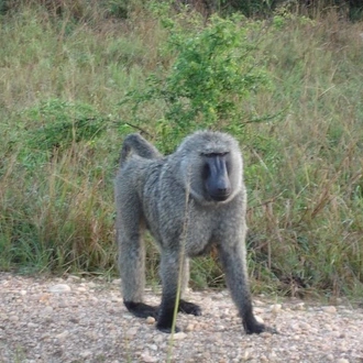 tourhub | Verdoro Safaris | Explore Uganda 