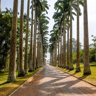 tourhub | Land Tours Ghana | Footprint of Slave Route 