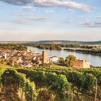 tourhub | Riviera Travel | Rhine, Strasbourg & Heidelberg River Cruise - MS George Eliot 