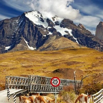 tourhub | On The Go Tours | Patagonia Encompassed - 20 Days 