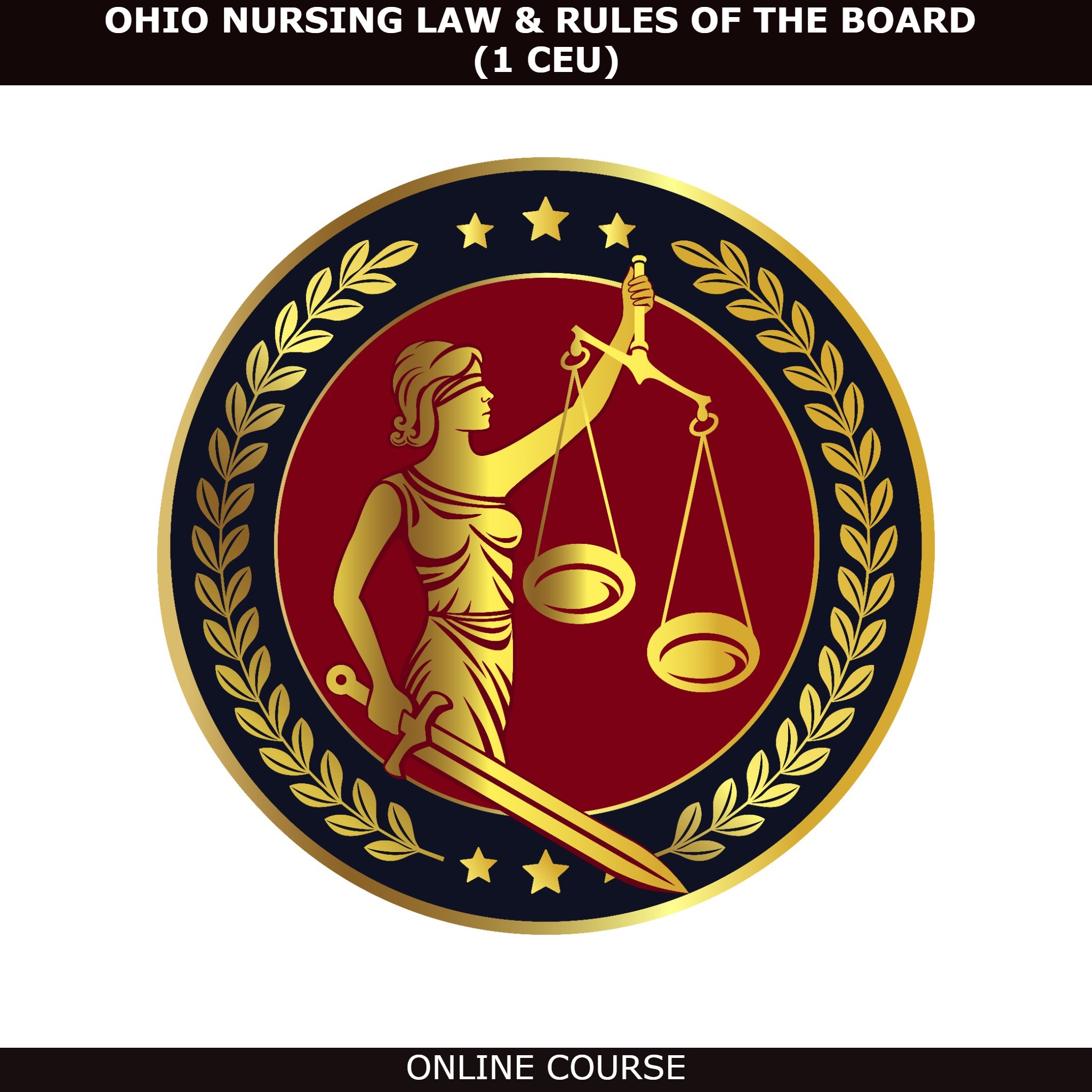 The Nursing Process in Ohio Nurse Continuing Ed