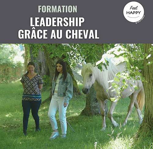 Représentation de la formation : Leadership grâce au cheval