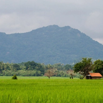 tourhub | SpiceRoads Cycling | Sri Lanka Tip to Tip by Road Bike 