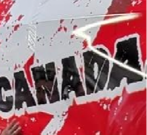 SaveCanada logo