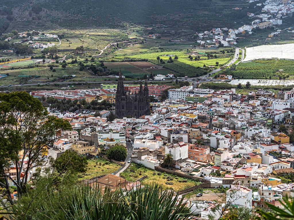 Esencias del Norte de Gran Canaria: Quesos, Viñedos y Cafetales (desde Las Palmas)