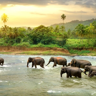 tourhub | Ceylon Travel Dream | One Week Tour In Sri Lanka 