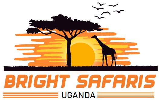 Bright Safaris Uganda 