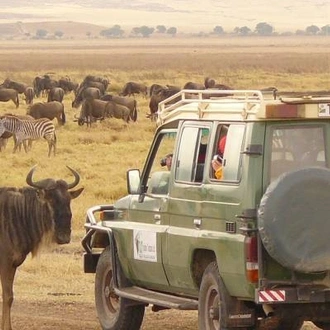 tourhub | On The Go Tours | Tanzania Safari & Beach - 14 days 