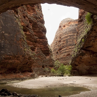 tourhub | Intrepid Travel | Broome to the Bungle Bungles  