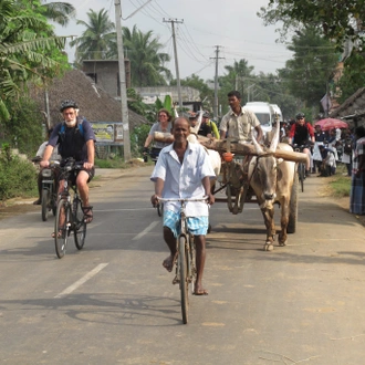 tourhub | Exodus Adventure Travels | Southern India Coast to Coast Ride 