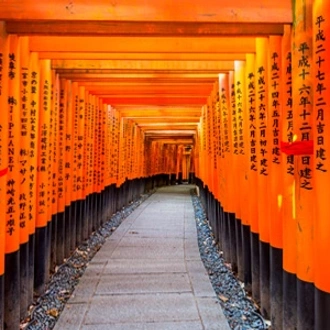 tourhub | Tweet World Travel | Japan Family Tour: Explore The Best Of Japan 