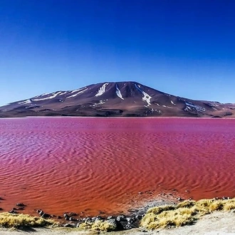 tourhub | Bamba Travel | Uyuni Salt Flats & Desert Adventure 4D/3N (Atacama to La Paz) 