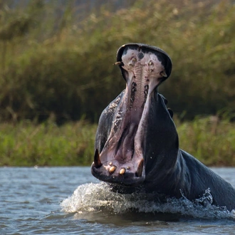 tourhub | Explore! | Botswana Wildlife Safari 