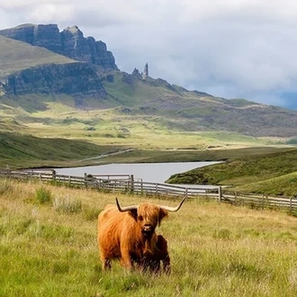 tourhub | Insight Vacations | Country Roads of Scotland - Small Group 