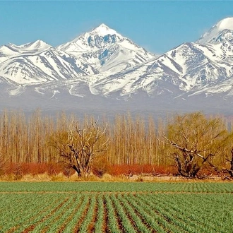 tourhub | Signature DMC | 4-Days of Adventure at Mendoza - Beauty & Adrenaline 