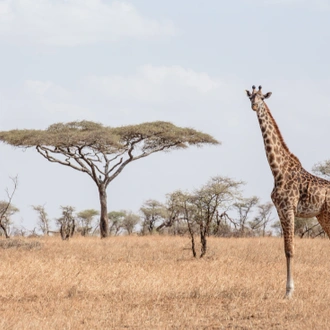 tourhub | Intrepid Travel | East Africa Safari & Coast 