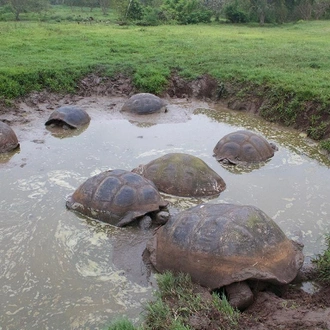 tourhub | Bamba Travel | Galapagos Island Hopping Diving Budget Experience 8D/7N 