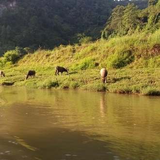 tourhub | Mr Linh's Adventures | Best of Northern Vietnam 9 days 8 nights 