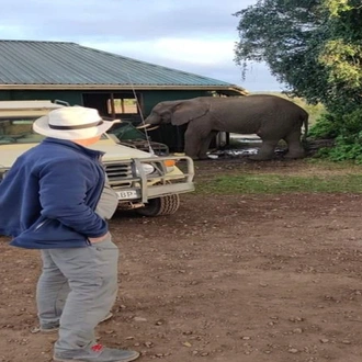 tourhub | Anapa Travel Africa Tours | 4-Day Safari to Tarangire, Serengeti, and Ngorongoro Crater Join Group Tour 