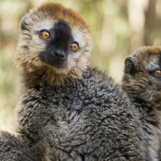 tourhub | SpiceRoads Cycling | Bike and Hike Wild Madagascar 