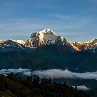 tourhub | Liberty Holidays | Shortest Poonhill trek from Kathmandu 