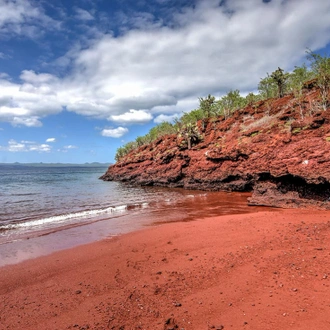 tourhub | Intrepid Travel | Galapagos In Focus (Grand Queen Bea) 