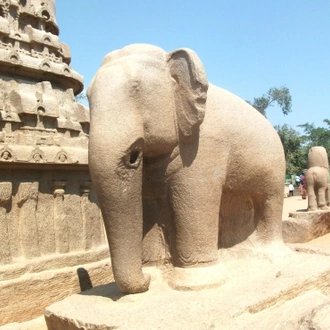 tourhub | GT India Tours | Experience of Tamil Nadu 