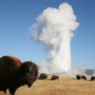 tourhub | Exodus Adventure Travels | Yellowstone Walks & Wildlife 