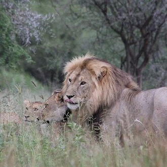 tourhub | Horizon Seeker Adventure | The best 2 days Tanzania safari to Arusha and Tarangire National Parks 