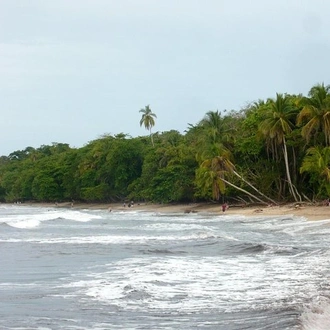 tourhub | Destiny Travel Costa Rica | 8 Days - San Jose - Tortuguero - Cahuita 