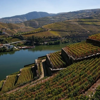 tourhub | Authentic Trails | Douro Wine Region Wine and Food Lovers 