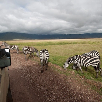 tourhub | G Adventures | Serengeti & Zanzibar Overland Safari 