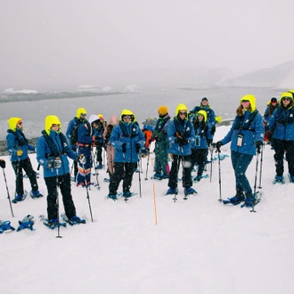 tourhub | Intrepid Travel | Best of Antarctica: Wildlife Explorer (Ocean Endeavour) 