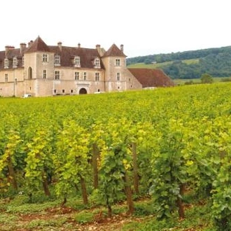 tourhub | UTracks | Burgundy Canals and Vineyards 