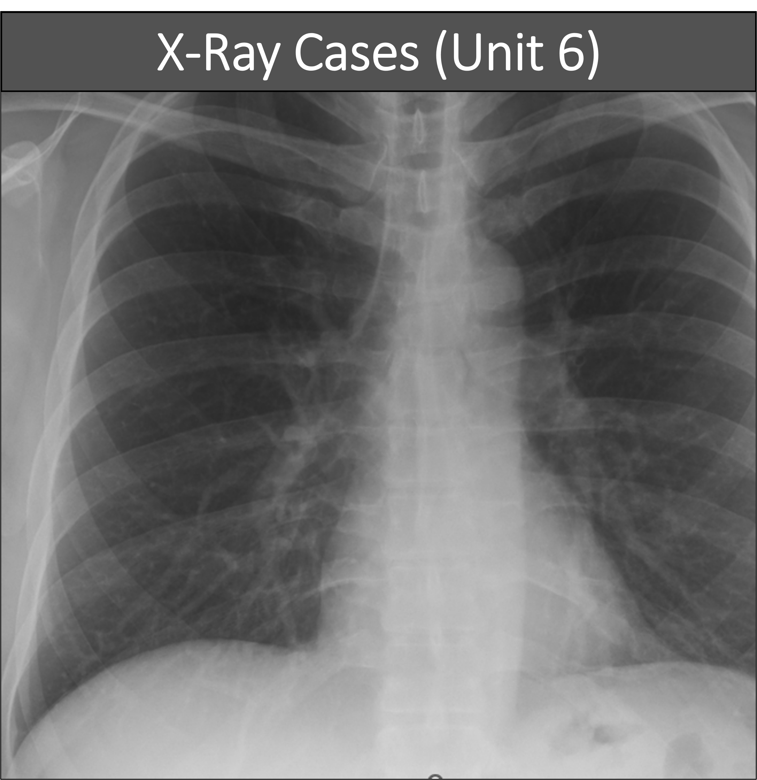 diagnostic-imaging-interpretation-x-rays-unit-6-risk-management-dc