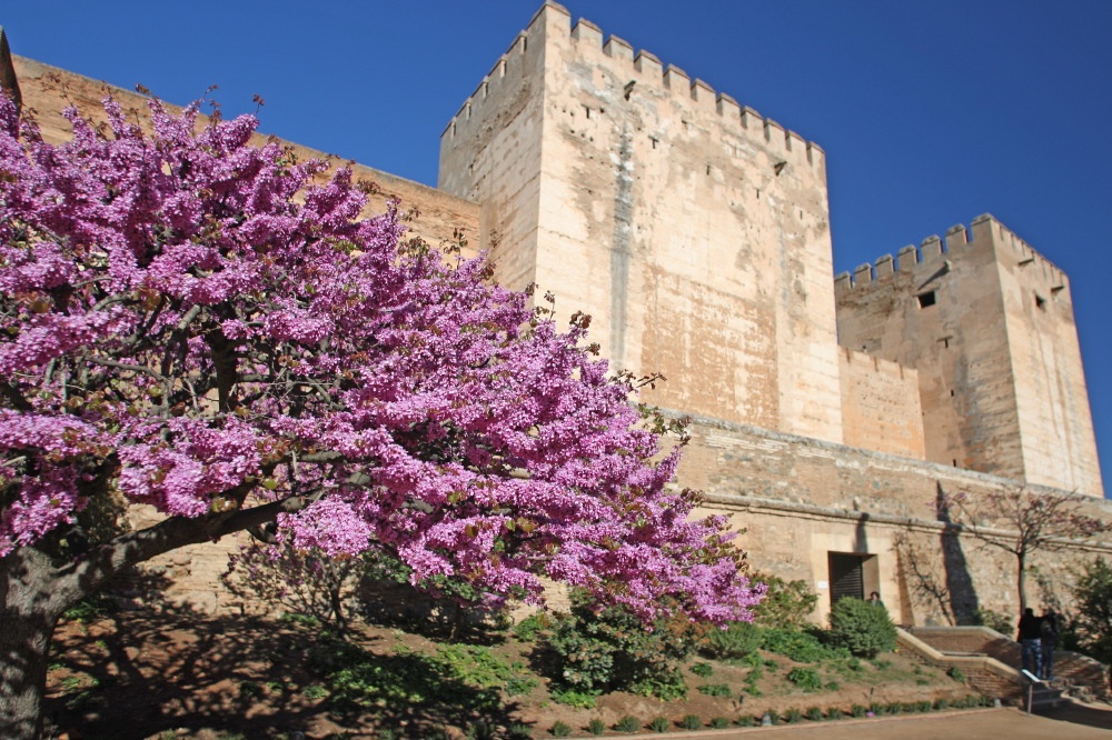 Alhambra Guided Tour with Generalife Gardens and Alcazaba - Accommodations in Granada