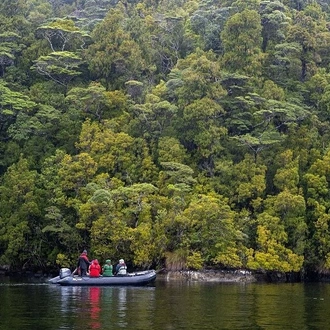 tourhub | Heritage Expeditions | New Zealand Coastal Odyssey 