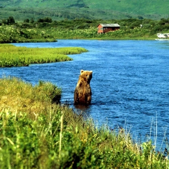 tourhub | Tours of Distinction | Discover Alaska by Land & Cruise 