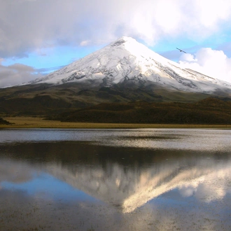 tourhub | Exodus Adventure Travels | Highlights of Ecuador: Andes to Amazon 