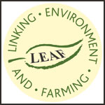 Leaf logo