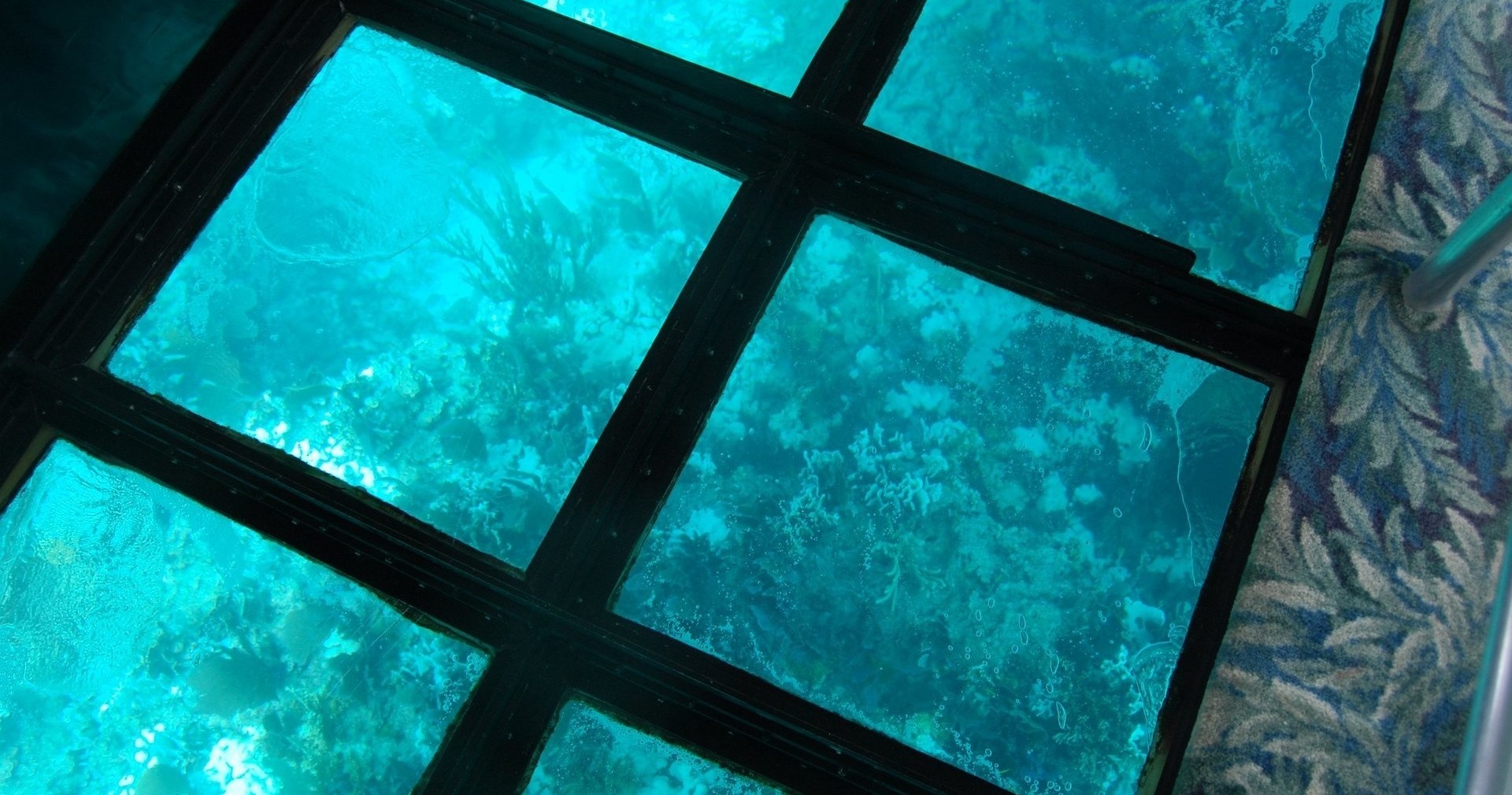 Glass-Bottom Boat Cruises in Key Largo