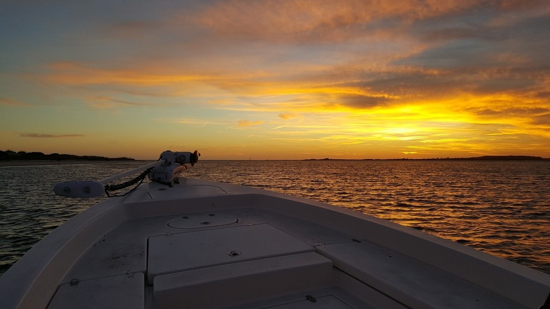 Coastal Marsh Sunset Cruise