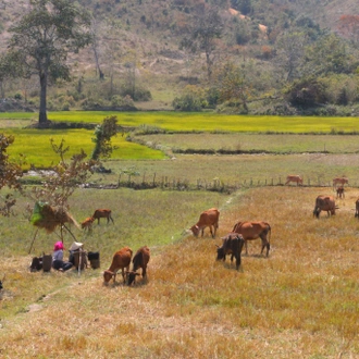 tourhub | Motor Trails | 9 Days Northern Vietnam Highlights Guided Motorcycle Tour 