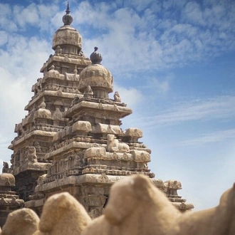 tourhub | Agora Voyages | 6-Day Private Guided South India The Temple Route 