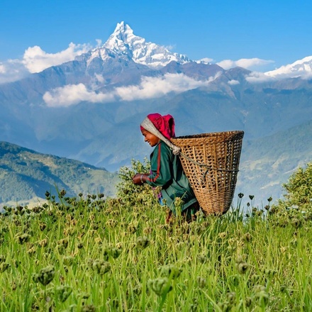 Nepal Active Tour with Hikes - 9 Days