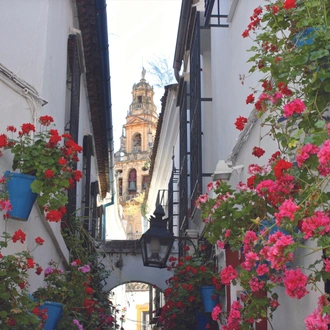 tourhub | VPT TOURS | 7 days Andalucia & Levante (Mondays) 