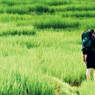 tourhub | Intrepid Travel | Thailand: Hike, Bike & Kayak  