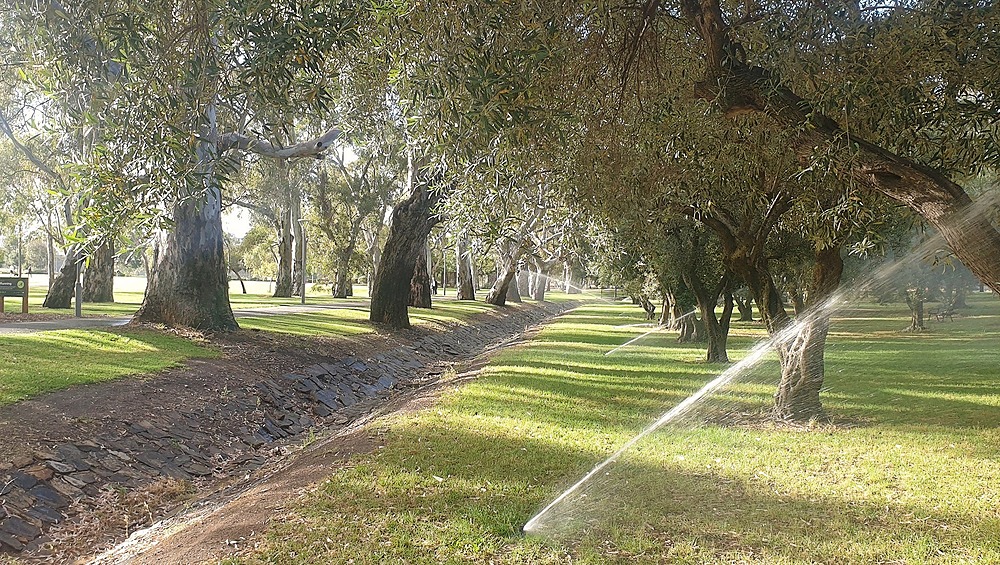 Botanic Creek in Victoria Park / Pakapakanthi (Park 16)