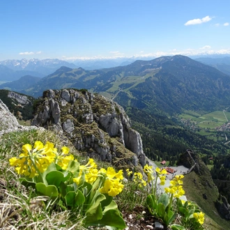 tourhub | Exodus Adventure Travels | Walking Bavaria’s Lakes and Mountains 