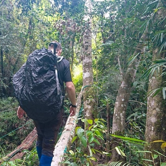 tourhub | Intrepid Travel | Borneo Expedition: Maliau Basin - Sabah's Lost World Trek 